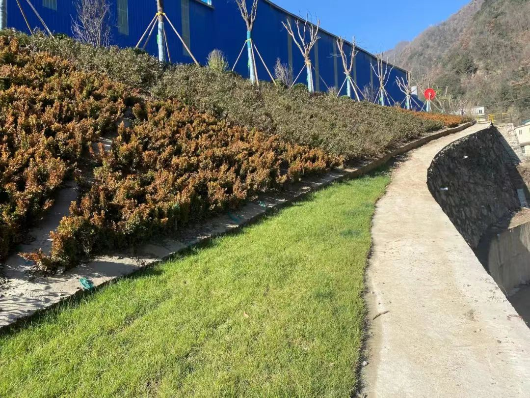 綠色礦山我們在行動 綠色礦山我們在行動